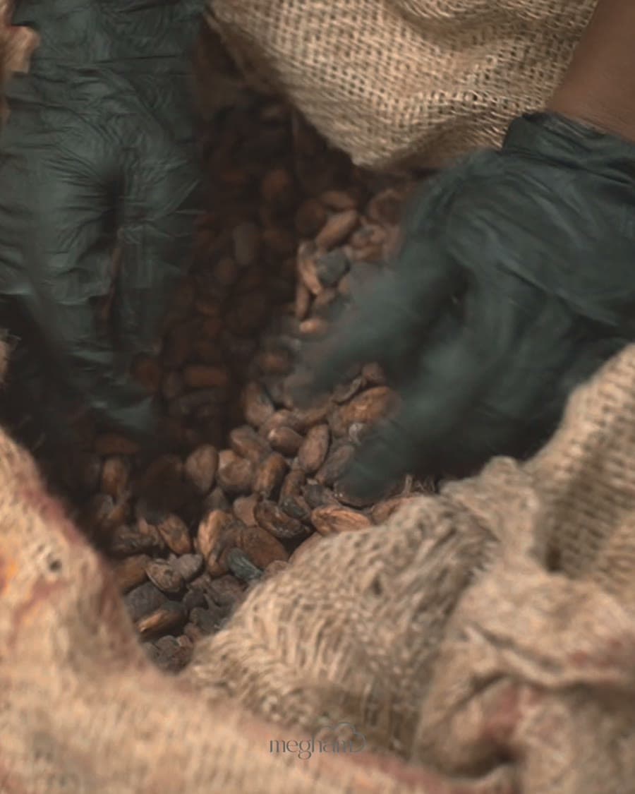 Single-origin cacao, grown in the fertile lowlands of Andhra Pradesh.